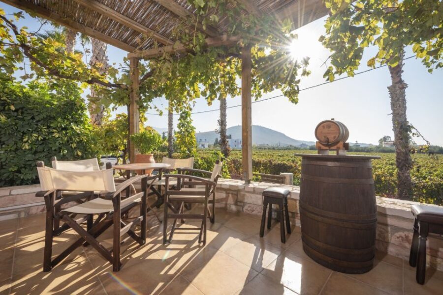 Kos: Wineries Tour w/ Wine Tastings & Transportation - Stop Two at Ktima Akrani: The Seated Tastings and Pairing Strategy