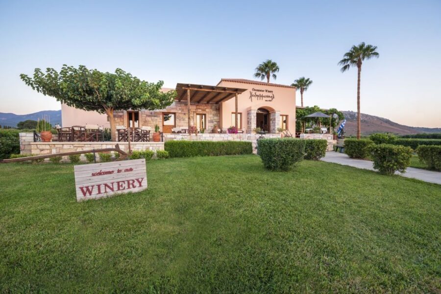 Kos: Wineries Tour w/ Wine Tastings & Transportation - What You’ll Taste: Why the Wine Selection Feels Thoughtful