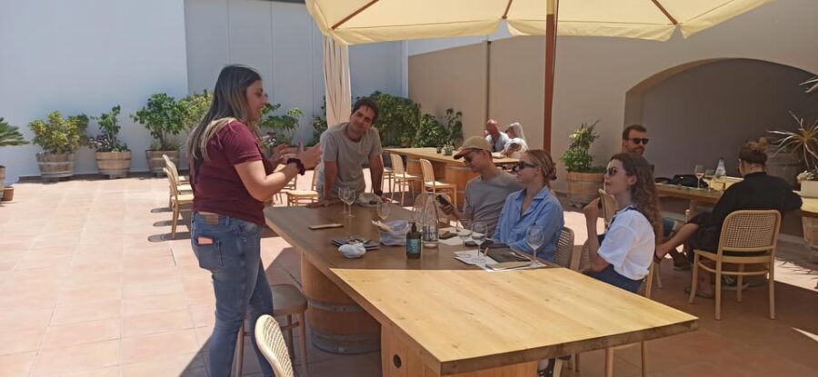 Kos: Wineries Tour w/ Wine Tastings & Transportation - Should You Book This Kos Wineries Tour?