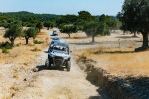 Kremasti: Rhodes 4x4 Buggy Off-Road Tour - Polaris RZR Trail 1000: driving rules, seat sharing, and what to wear