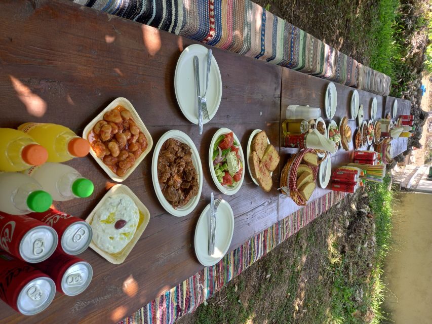 Laganas: Off-Road Buggy Adventure in Zakynthos with Lunch - The Marathias stretch: Turtle Island photos and forest turns
