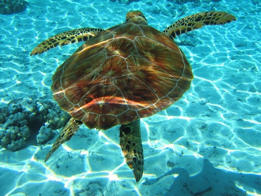 Laganas Zakynthos: Marathonissi, Keri Caves and Turtles Spot - Entering Zakynthos Marine Park from Laganas, the easy way