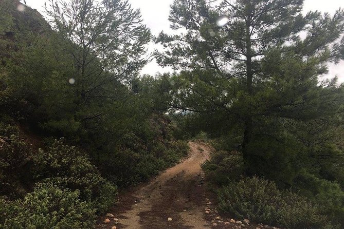 Land Rover Safari in Rhodes North Route - Starting near Kolimbia with coffee and local roads