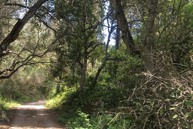Land Rover Safari in Rhodes South Route - Who will enjoy this safari most