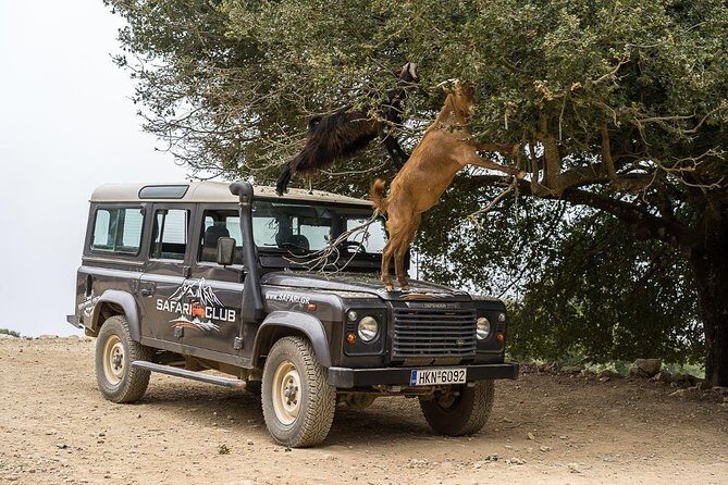 Land Rover Safari Minoan Route with driver and lunch - Key points to know before you go