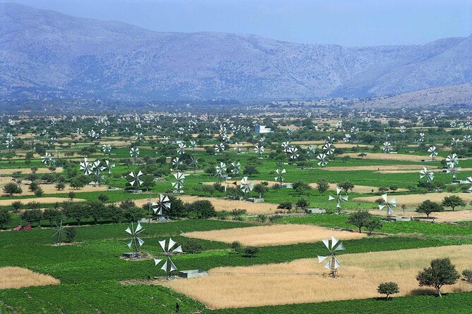 Lasithi - Zeus Cave -Olive Oil Factory - Traditional Villages - Key points at a glance