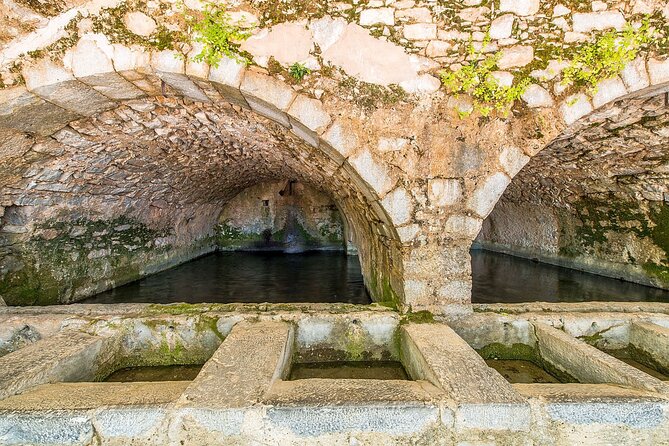 Lasithi - Zeus Cave -Olive Oil Factory - Traditional Villages - From Heraklion to the olive groves