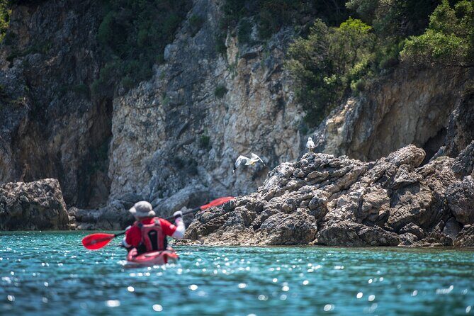 Lefkada Kayak : Explore Blue Cave with a Taste of Greece - Who Should Book This (and Who Might Want a Different Day)
