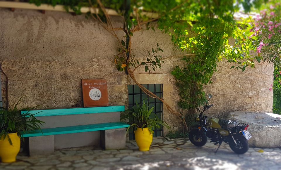Lefkada: Olive Museum Fabbrica Ticket and Guided Tour - What the Fabbrica Olive Museum Adds to a Lefkada Visit