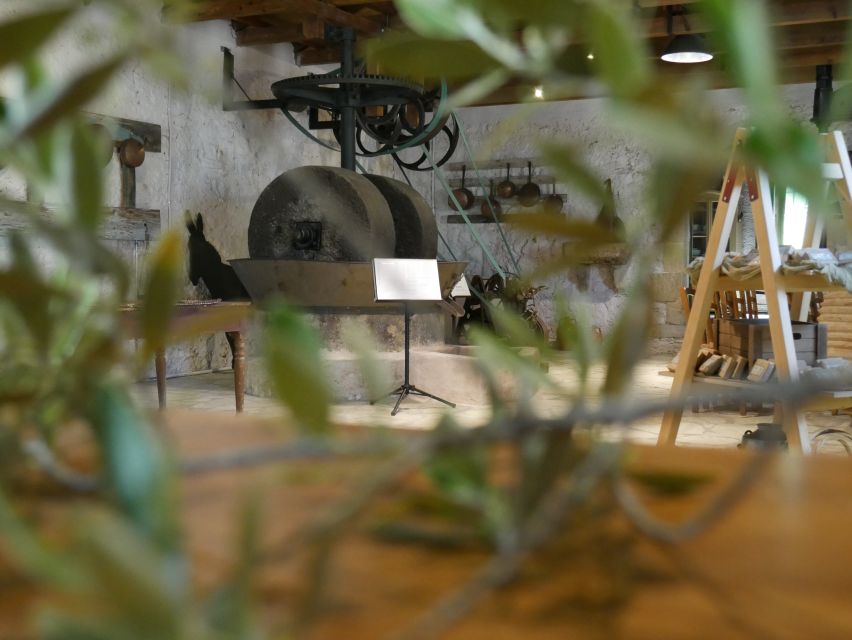 Lefkada: Olive Museum Fabbrica Ticket and Guided Tour - Should You Book the Fabbrica Olive Museum?