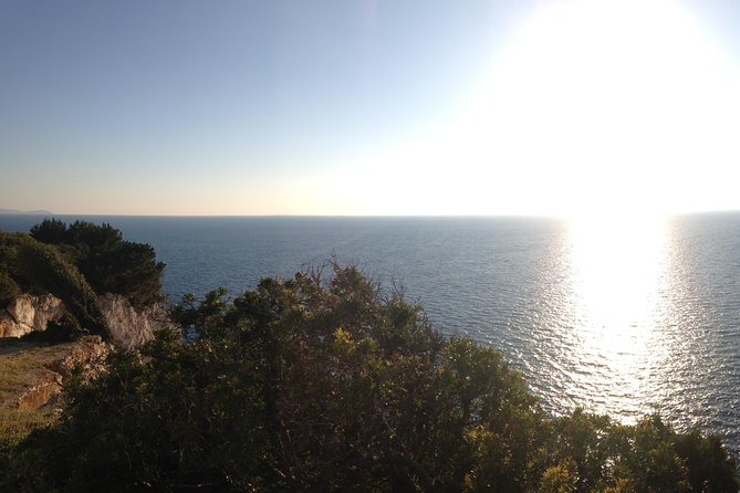 Lefkada Sunset Tour: Taste Local Wines with Breathtaking Views - A private ride that keeps the evening easy