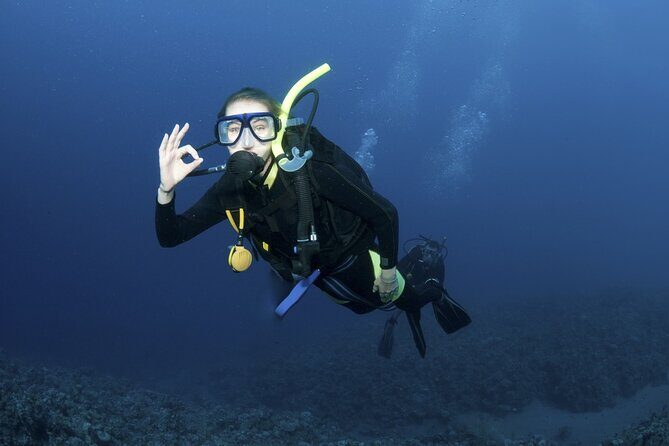 Lets Go Diving with pickup from hotel - Key highlights worth knowing