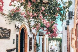 Lindos + 7 Springs by luxury bus (full day tour) - Price and logistics: What you’re paying for at $32.44