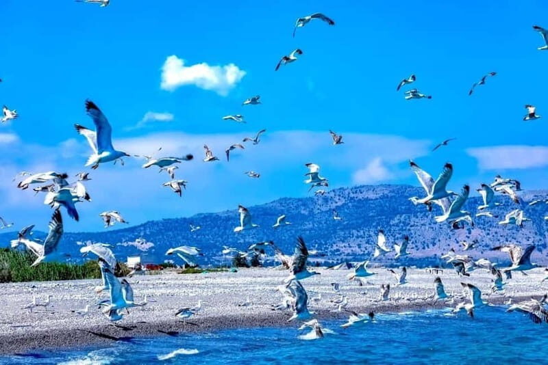 Lindos: Glass Bottom Boat Tour with Snorkeling - St. Paul’s Bay and the Hidden Channel: Scenic Time Without the Hassle