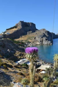 Lindos Odyssey: Noon to Evening Experience (Small Group) - Hotel pickup and the small-group comfort (max 19)
