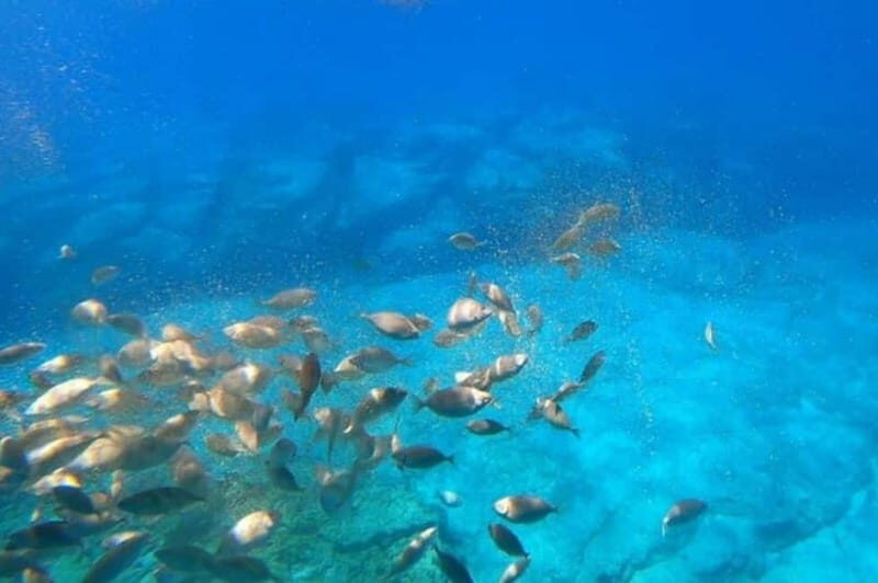 Lindos: Submarine Cruise with Swimming Stop at Navarone Bay - The 2-hour plan: Lindos coastline views, St. Paul’s Bay, then Navarone swim