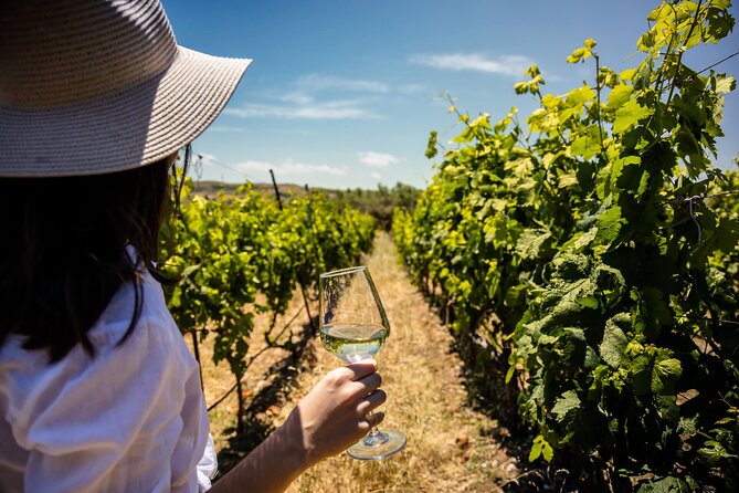 LUXURY PRIVATE Wine Tasting in CRETE (also for CRUISE SHIPS) - Seven Cretan wines in their natural setting