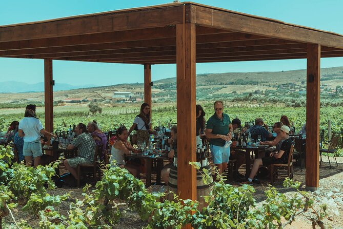 LUXURY PRIVATE Wine Tasting in CRETE (also for CRUISE SHIPS) - Why a private tour changes the value