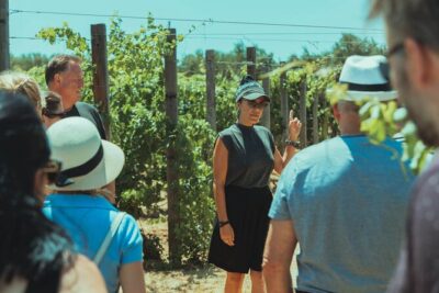 LUXURY PRIVATE Wine Tasting in CRETE (also for CRUISE SHIPS) - Choosing between the tasting and the vineyard picnic