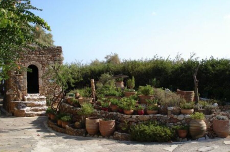 Lychnostatis Open Air Museum: Entry Ticket with Add-Ons - Walking the recreated Cretan village: houses, chapel, and daily life