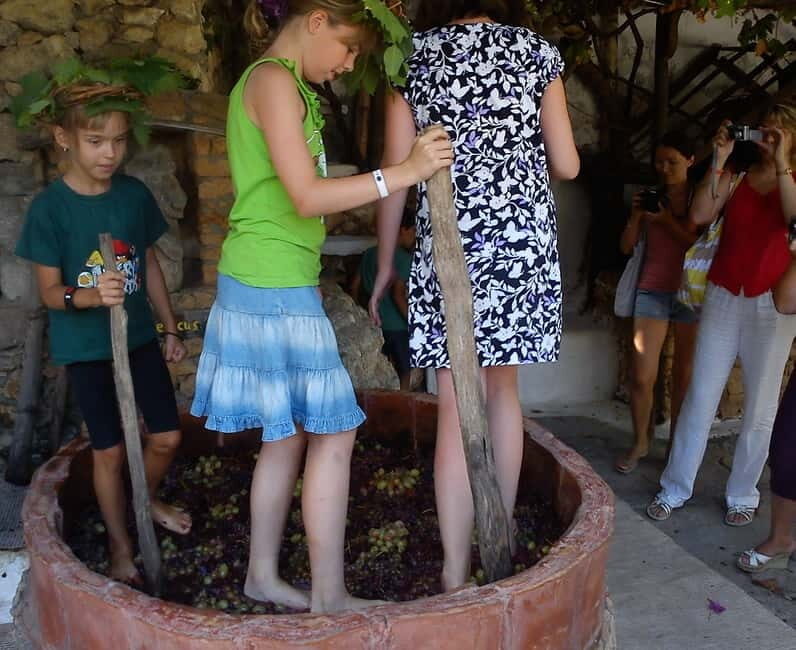 Lychnostatis Open Air Museum : Grape-Feast every Wednesday - The tasting lineup: more than grapes and wine