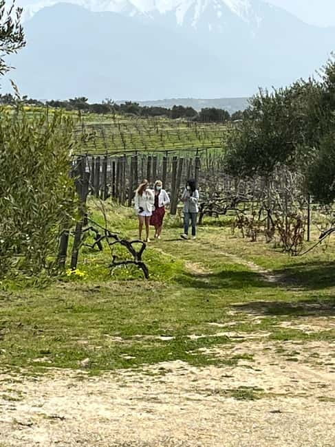 Lyrarakis Winery Official Shuttle Service Tour and Taste - Tasting five indigenous Cretan varieties