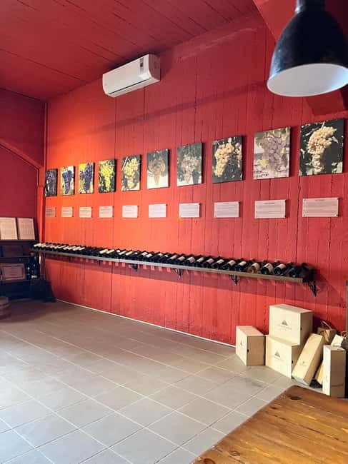 Lyrarakis Winery Official Shuttle Service Tour and Taste - The terrace, views, and optional food