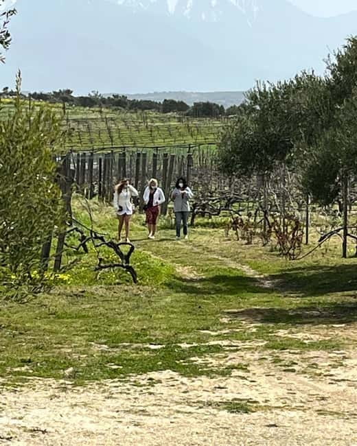 Lyrarakis Winery Official Shuttle Service Tour and Taste - Arriving at Lyrarakis Winery in Alagni