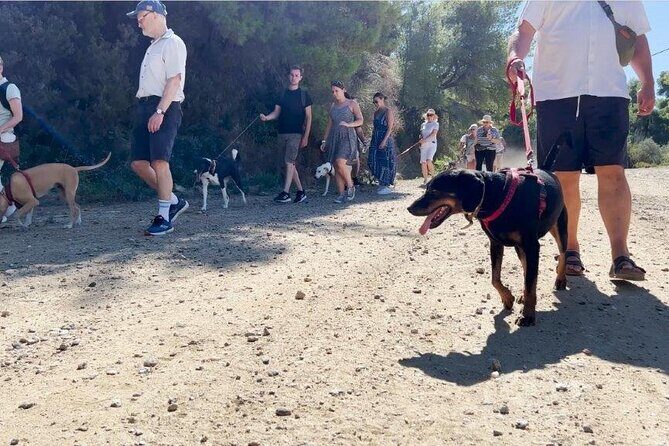Make a dog's day and taste Greece in Skiathos - Meeting Maria and learning traditional Greek dishes