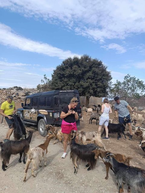 MALIA: Land rover Safari Lasithi Plateau and Zeus Cave - Cheese making at a shepherd’s farm