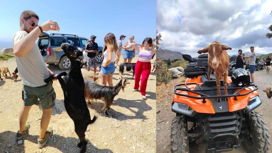 Malia: Off-Road Quad Safari Tour with Lunch and Transfers - Vrachasi village: photos, coffee, and a slower look at local life