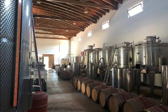 Manousakis Winery Shuttle Service Tour and Taste - The five-wine tasting: how to get more than just a sip