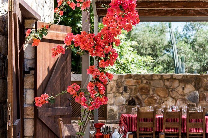 Manousakis Winery Shuttle Service Tour and Taste - Cretan food at the winery: included basics and optional extras