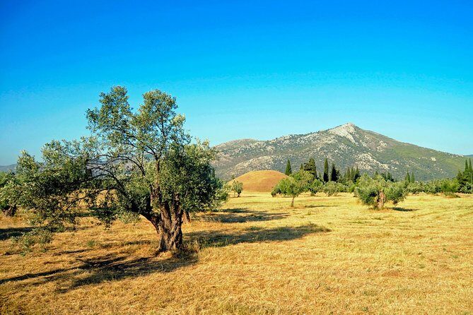 Marathon, Thermopylae, Thebes/Plataea, Herodotus Private Tour 10h - Leoforos Marathonos and Lake Marathon: two modern links to ancient names