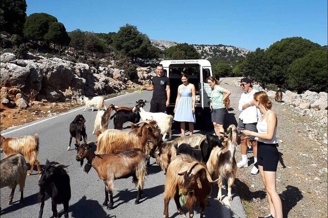Matala Agiofarago Gorge Guided Jeep Safari Tour - Morning logistics: pickup windows and small-group comfort