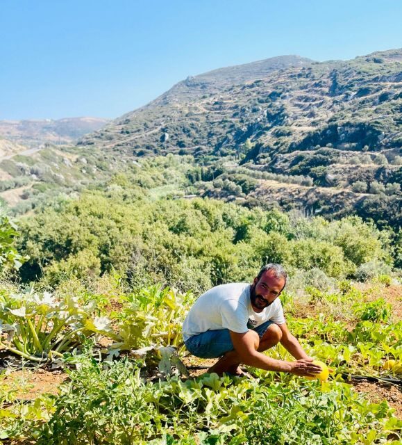Melanes: Naxos Perivoli Farm & Cooking Class with Wood Fire - The Meal Itself: Why the Portions Feel Like a Feast