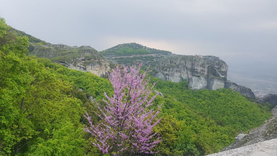Meteora: Easy Hiking Adventure - Through the forest to Ypapanti