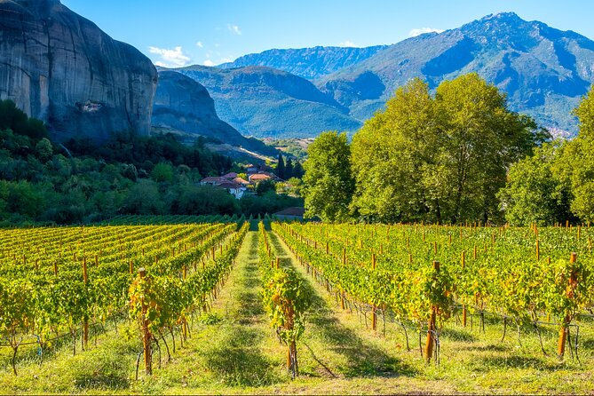 Meteora Food And Wine Private Tour - Key points at a glance