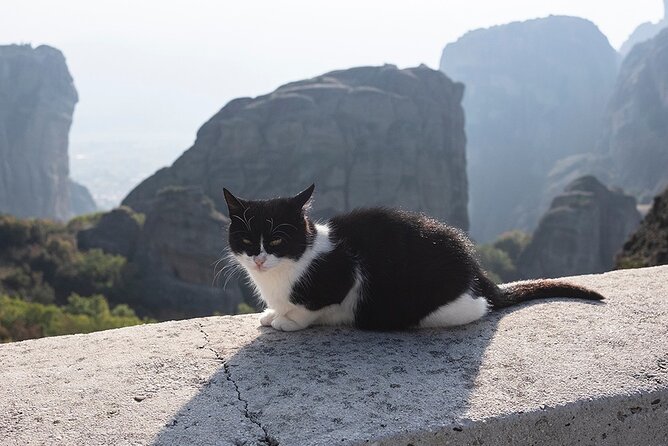 Meteora Full-Day Trip with Guide on Luxury Bus From Athens - Who will get the most from this Meteora tour