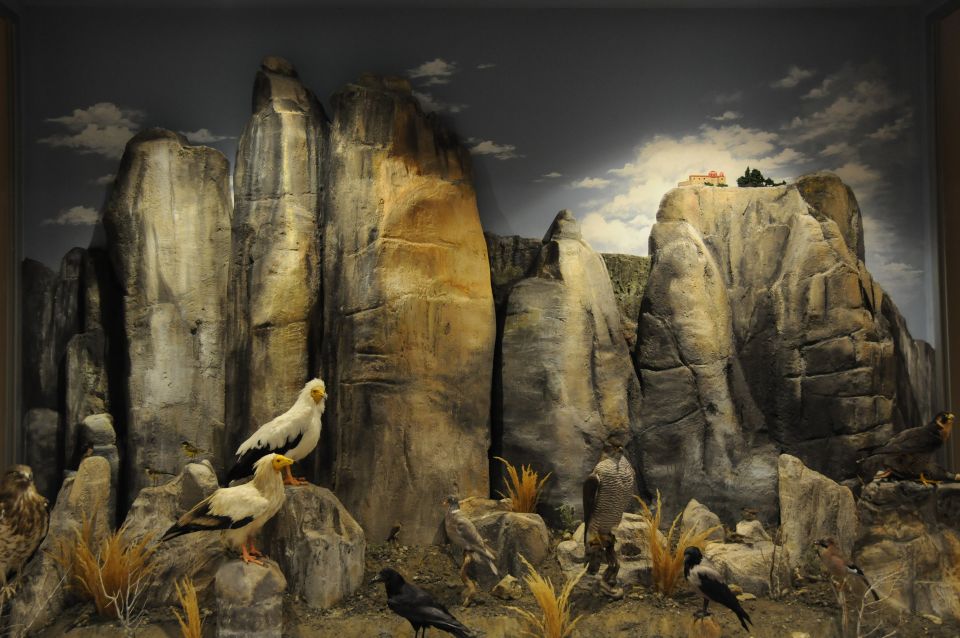 Meteora: Natural History Museum and Mushroom Museum Tour - A small museum with an unusual main subject
