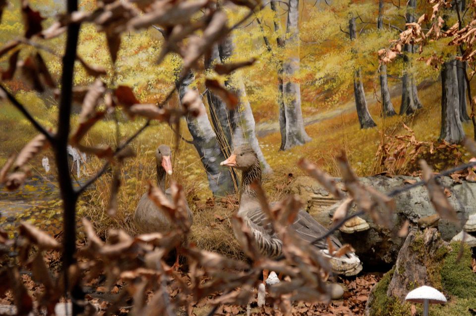 Meteora: Natural History Museum and Mushroom Museum Tour - The tasting adds a welcome Greek twist