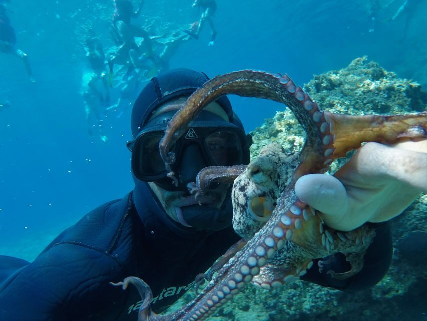 Milos: Half-Day Speedboat Cruise to Klefiko with Snorkeling - The half-day format that actually fits Milos