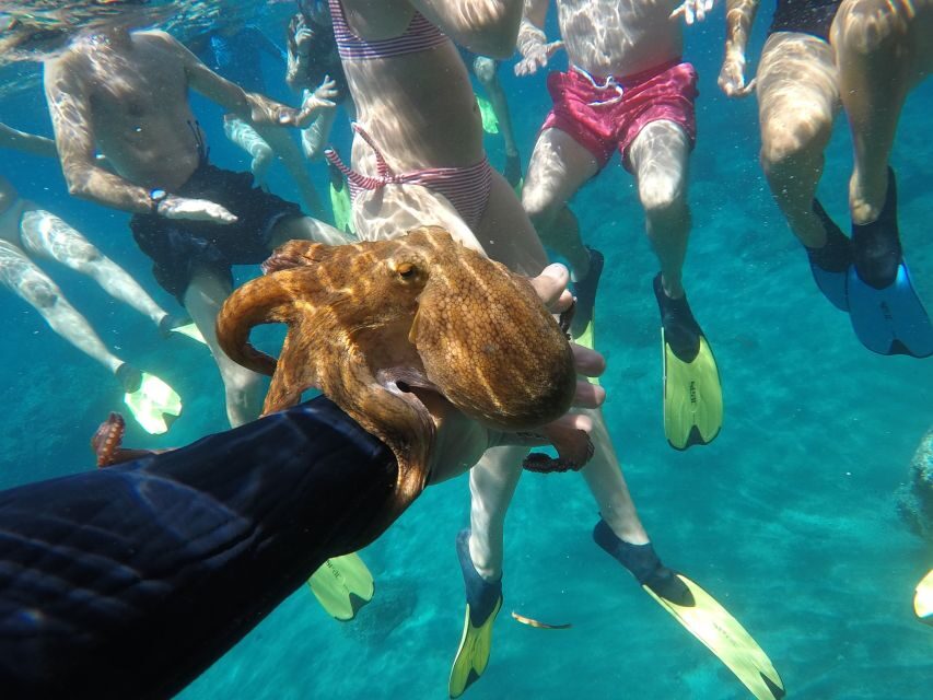 Milos: Half-Day Speedboat Cruise to Klefiko with Snorkeling - Cape Vani and Klima: the return that stays scenic