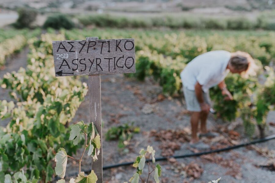 Milos Island: Kostantakis Winery Wine Tasting Experience - FAQ