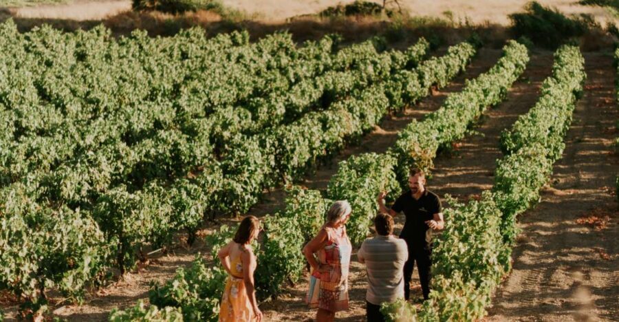Milos Island: Kostantakis Winery Wine Tasting Experience - Price and Value: Why $68 Makes Sense Here