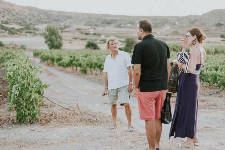 Milos Island: Kostantakis Winery Wine Tasting Experience - Should You Book Kostantakis Winery on Milos?