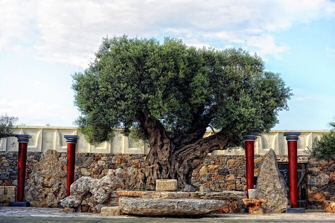 Minoan Day Experience - Why this Minoan performance feels different from a museum visit