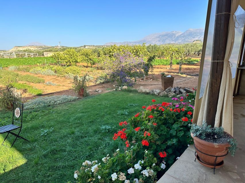 Moires: Cooking Class and Olive Oil Tasting at a Family Farm - Should you book Moires Cooking Class and Olive Oil Tasting at a Family Farm?