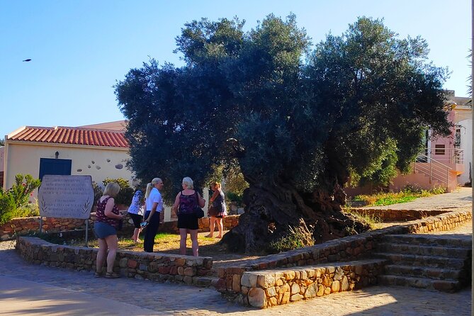 Monastery - Ancient Olive tree & Museum-Cretan Brewery Private Tour from Chania - Charma Brewery in Zounaki Village
