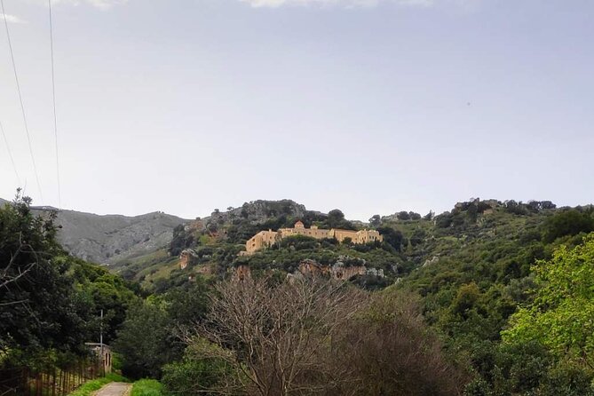 Monastery - Ancient Olive tree & Museum-Cretan Brewery Private Tour from Chania - Price, Group Size, and the Real Value